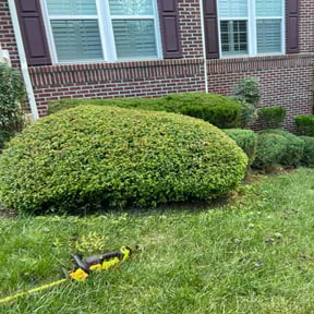 Bush Trimming by 662 Grass Monkey Lawn SVC reviewed on June 13, 2022
