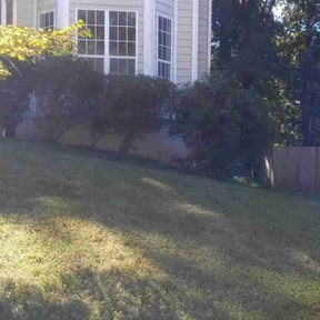 Bush Trimming by Lawn Gnomes LLC reviewed on October 1, 2021