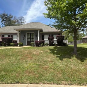 Bush Trimming by DMD LAWN SVC reviewed on June 13, 2022