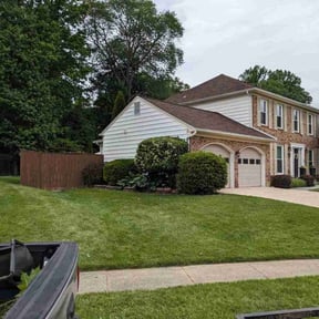 Bush Trimming by Wgm landscaping reviewed on July 22, 2022