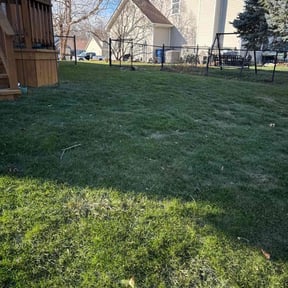 Leaf Removal by Camo&#039;s Lawn Care reviewed on June 4, 2025