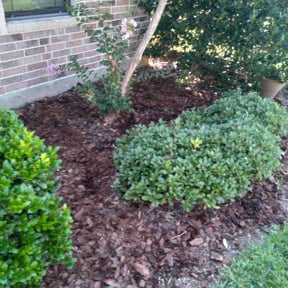 Flower Bed Weeding by Star Landscaping reviewed on April 24, 2025