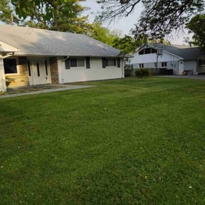 Leaf Removal by classic cuts lawn care reviewed on April 26, 2021