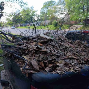 Leaf Removal by Pacific Blu LLC reviewed on July 23, 2025