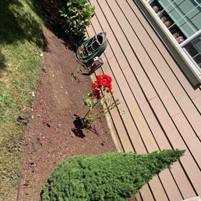 Bush Trimming by A-Z Land Care reviewed on July 30, 2025