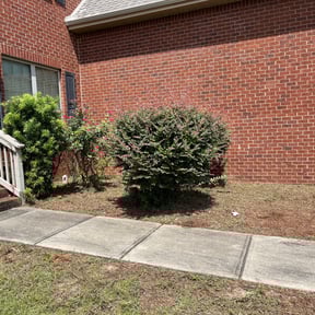 Flower Bed Weeding by Philipp&#039;s Property Maintenance LLC reviewed on April 8, 2025