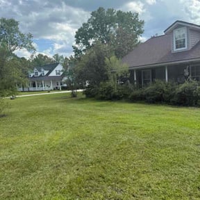 Cleanups by Primos  Grow&amp;Mow reviewed on December 8, 2024