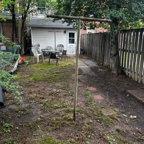 Leaf Removal by Artavius  Clark reviewed on May 16, 2025