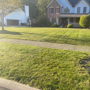 Bush Trimming by Jeri Cleaning Services reviewed on May 23, 2022