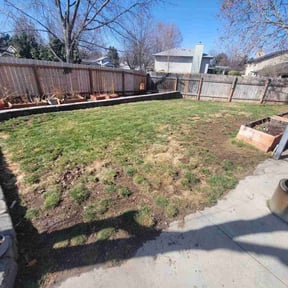 Leaf Removal by Jeff Sidener reviewed on May 19, 2022