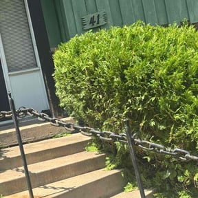 Bush Trimming by H & S Lawn Service. reviewed on April 22, 2023