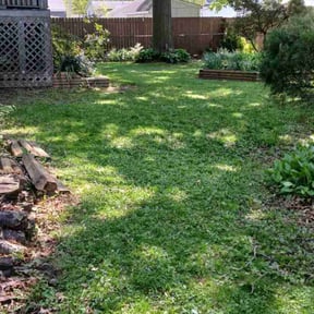 Landscaping by R-A-W Landscaping reviewed on July 4, 2025