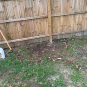 Cleanups by Green T&#039;s Lawn &amp; Landscape reviewed on April 12, 2025