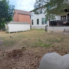 Cleanups by Legit Lawn Care reviewed on January 5, 2025