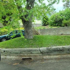 Leaf Removal by Rich's Renovations reviewed on May 24, 2022