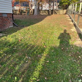 Leaf Removal by Fiechtner Landscape Services reviewed on December 29, 2021