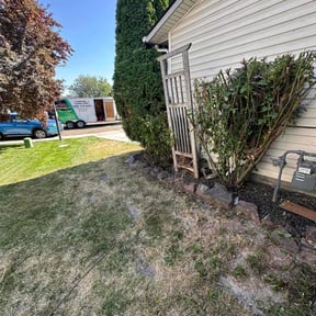 Cleanups by BOs Custom Lawns LLC reviewed on April 24, 2025