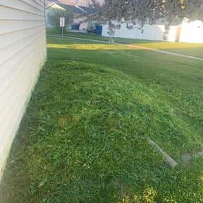 Flower Bed Weeding by Ortega lawn services LL reviewed on April 23, 2022