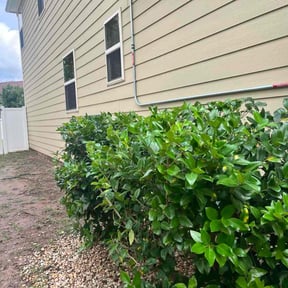 Bush Trimming by Electric Cut Lawn Care LLC reviewed on February 3, 2025
