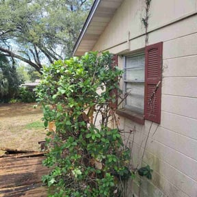 Cleanups by RTH Lawn Service & Landscaping LLC reviewed on July 1, 2025