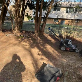 Leaf Removal by BSM & Co. Landscaping reviewed on June 16, 2022