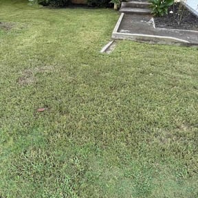 Cleanups by Bb Cutts reviewed on March 20, 2025