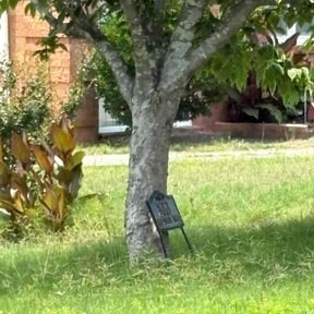 Flower Bed Weeding by 4 The People Landscaping reviewed on March 24, 2025