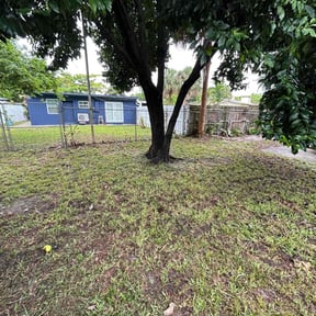 Leaf Removal by LSLTDallas/FortWorthTruGreen reviewed on May 31, 2023