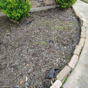 Flower Bed Weeding by Irvine Lawn Service reviewed on August 13, 2025