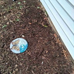 Flower Bed Weeding by We Talk Lawn and Tree reviewed on November 22, 2024