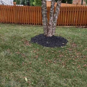 Bush Trimming by Billy Klipps Lawn Care reviewed on November 23, 2021