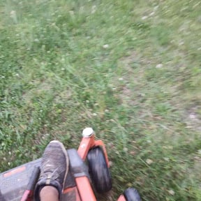 Cleanups by Green T's Lawn & Landscape reviewed on April 12, 2025