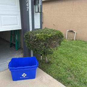 Bush Trimming by Picture perfect lawn reviewed on September 24, 2021