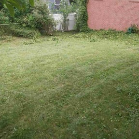 Bush Trimming by Sosa's Lawn Care & Design LLC reviewed on May 19, 2025