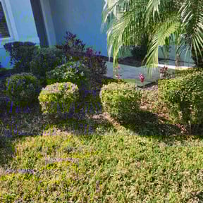Bush Trimming by L and c landscape reviewed on May 10, 2022
