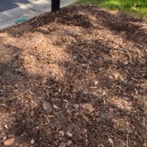 Flower Bed Weeding by Bright Lawn Landscaping reviewed on April 29, 2022