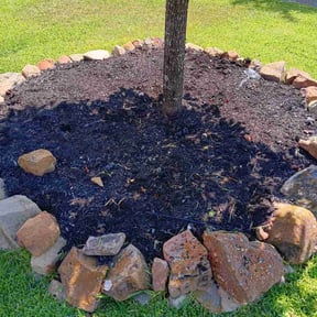 Weeding by Star Landscaping reviewed on April 24, 2025