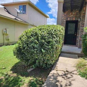 Bush Trimming by Wildflower Lawn Care Company reviewed on October 4, 2022