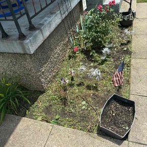 Flower Bed Weeding by D&amp;D lawncare and maintenance reviewed on June 17, 2022