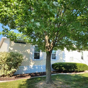 Bush Trimming by GC Lawn Care & Landscaping Services reviewed on April 15, 2022