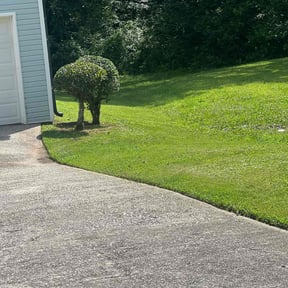 Bush Trimming by HTx Landscaping Services reviewed on June 22, 2022