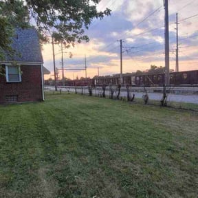 Bush Trimming by Calvin's Lawncare reviewed on June 11, 2022