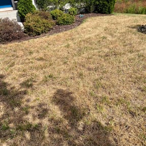 Flower Bed Weeding by Kevin's Grass Cutting Service reviewed on July 17, 2025