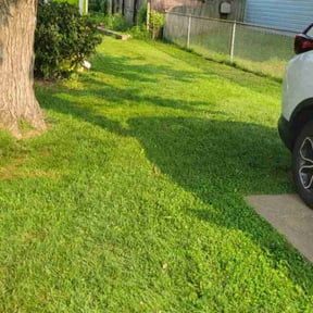 Cleanups by Discount Mowing reviewed on July 20, 2022