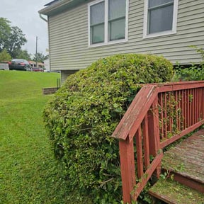 Bush Trimming by G&M Landscaping Services reviewed on March 18, 2025