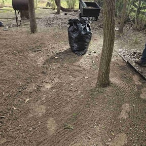 Leaf Removal by Texas Services SA reviewed on March 25, 2025