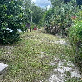 Landscaping by Grass gator Jesse lawn care reviewed on June 9, 2025