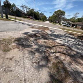Leaf Removal by Bradley Taylor reviewed on August 8, 2022