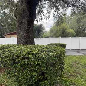 Bush Trimming by Adams Paiz reviewed on April 22, 2022