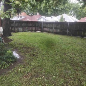 Leaf Removal by Alan's Mowing reviewed on June 6, 2022